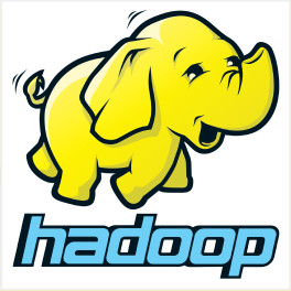 Hadoop Vinyl Sticker
